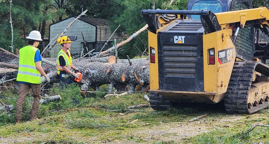 resident tree removal service carbon hill al