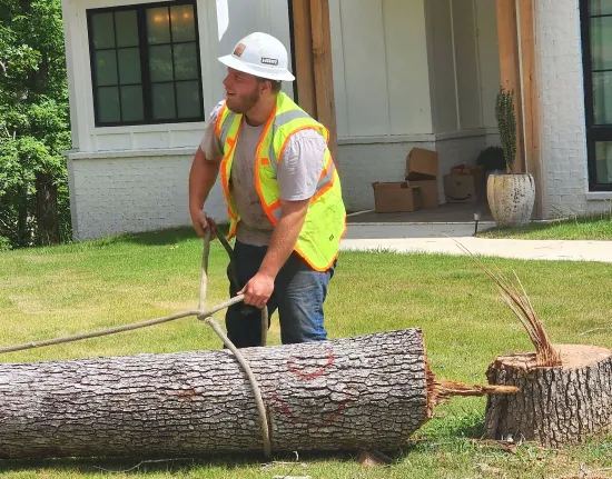 tree removal services reliable carbon hill al