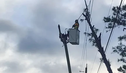 utility line clearing carbon hill al