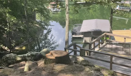 waterfront view restoration lake tree removal carbon hill al